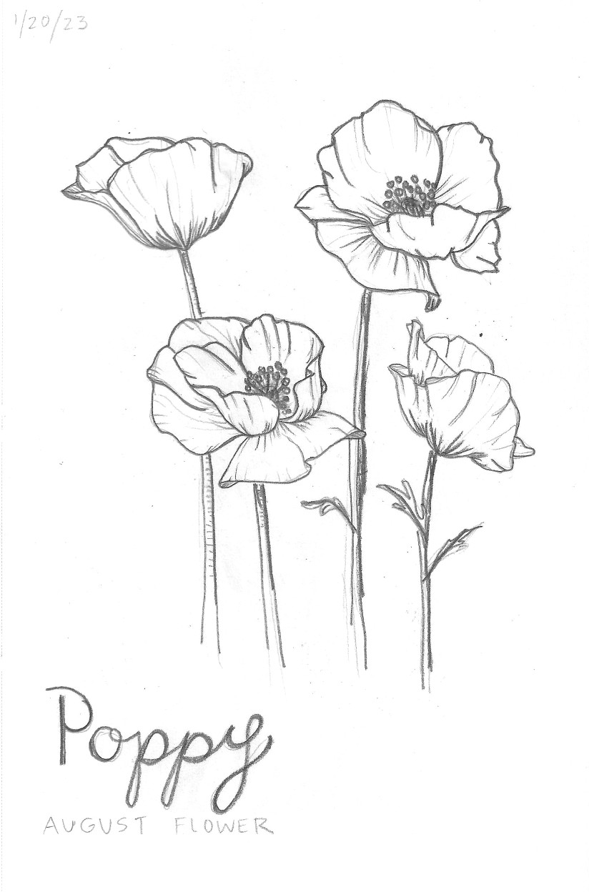 Poppy
