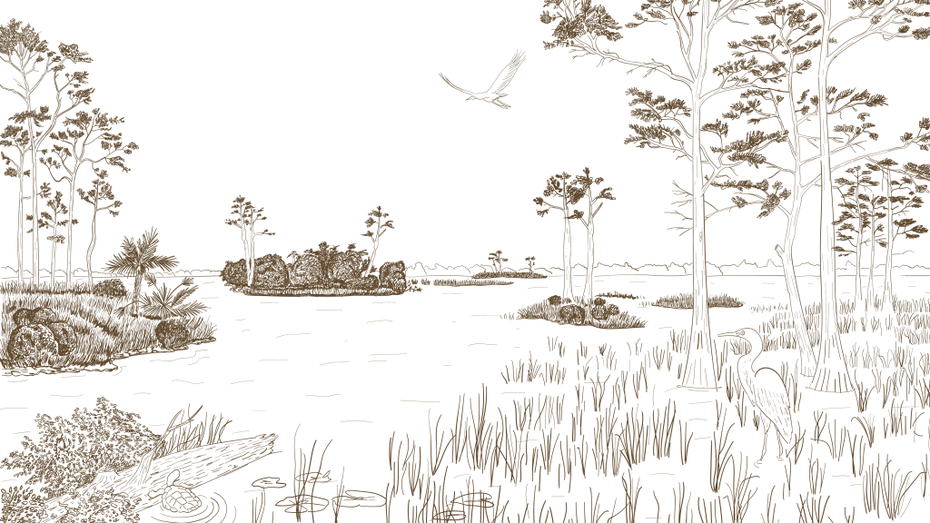 Thomas Jefferson v The&nbsp;French